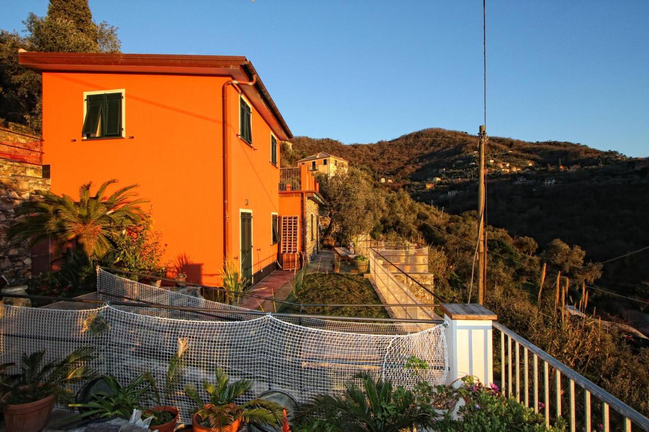 Il Cuoco Pescatore, Ittiturismo Lecardonaie Du Pescou Recco Exterior photo